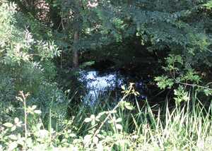 Sky reflected in wild pool